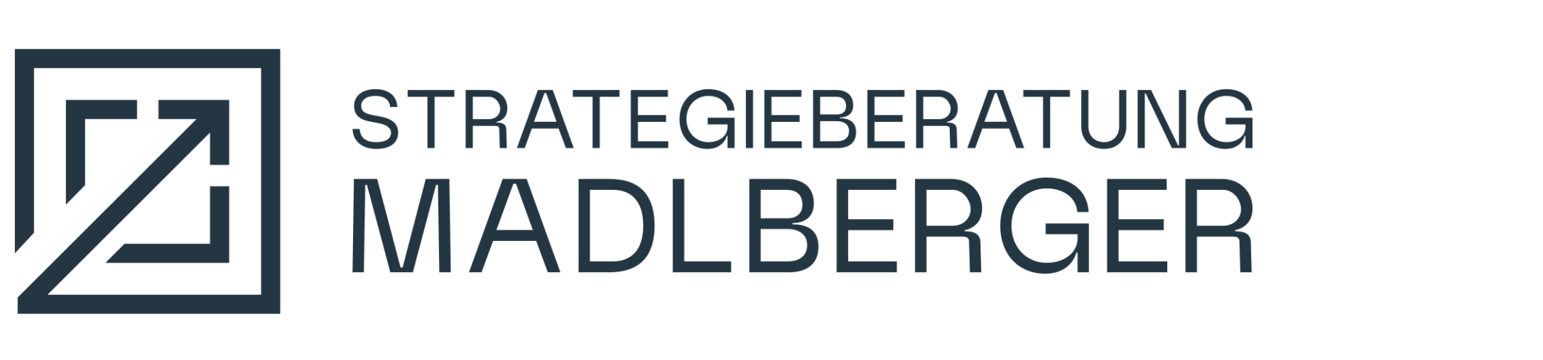 Logo_Strategieberatung_Madlberger Strategieberatung